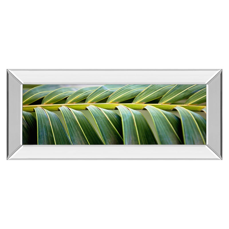 Classy Living Palm Harmony Wall Art 42"x18", Mirrored Frame