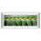 Classy Living Palm Harmony Wall Art 42"x18", Mirrored Frame