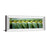 Classy Living Palm Harmony Wall Art 42"x18", Mirrored Frame
