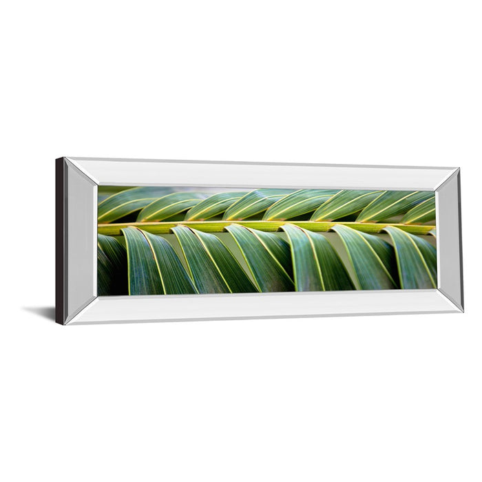 Classy Living Palm Harmony Wall Art 42"x18", Mirrored Frame