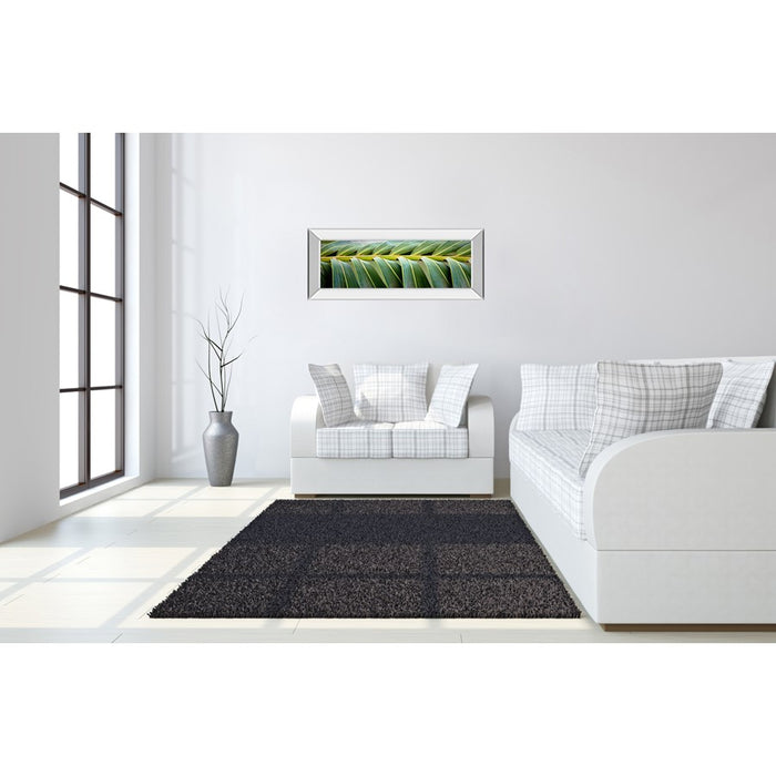 Classy Living Palm Harmony Wall Art 42"x18", Mirrored Frame