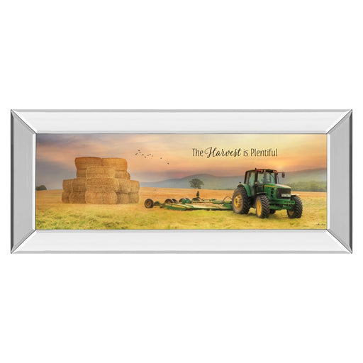 Classy Living Harvest Plenty Wall Art 42"x18", Mirrored Frame