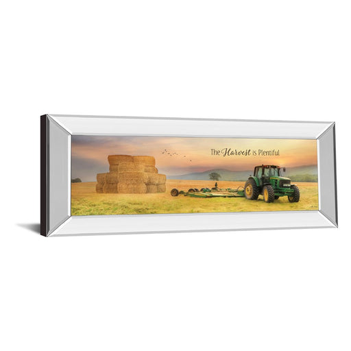 Classy Living Harvest Plenty Wall Art 42"x18", Mirrored Frame