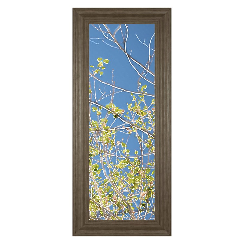 Classy Living Spring Branches Wall Art 18"x42", Tranquil Ash Frame
