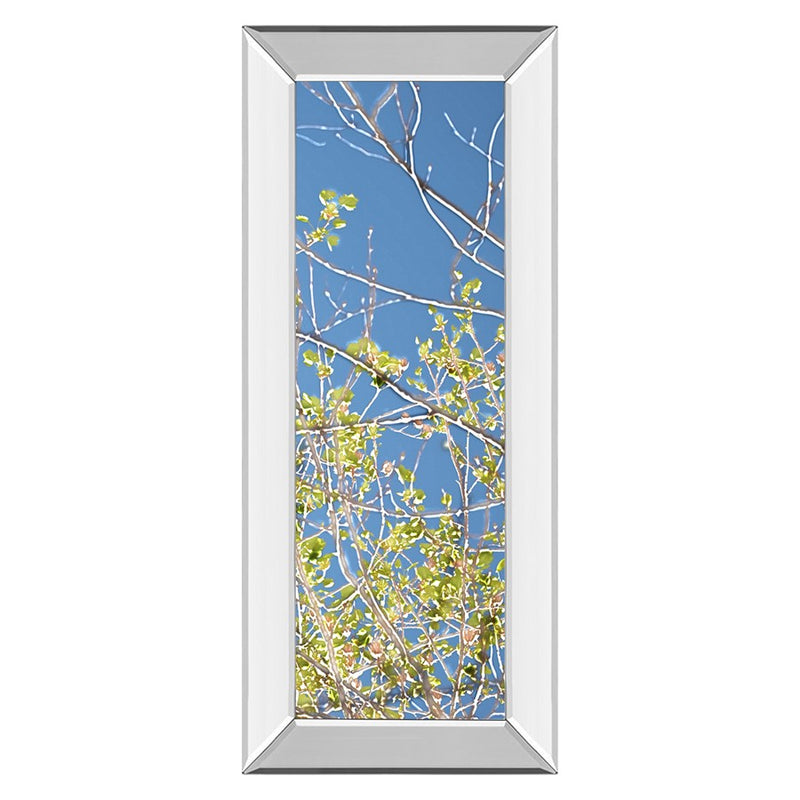 Classy Living Spring Branches Wall Art 18"x42", Mirrored Frame