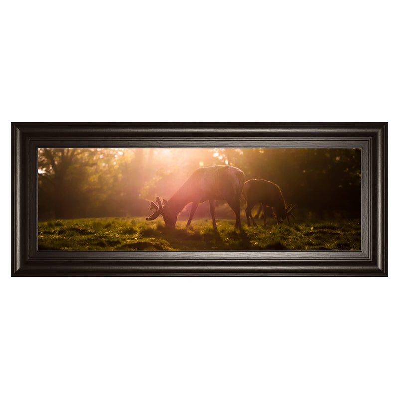 Classy Living Golden Grazing Wall Art 42"x18", Dark Chocolate Frame