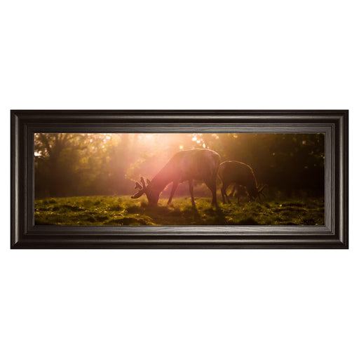 Classy Living Golden Grazing Wall Art 42"x18", Dark Chocolate Frame