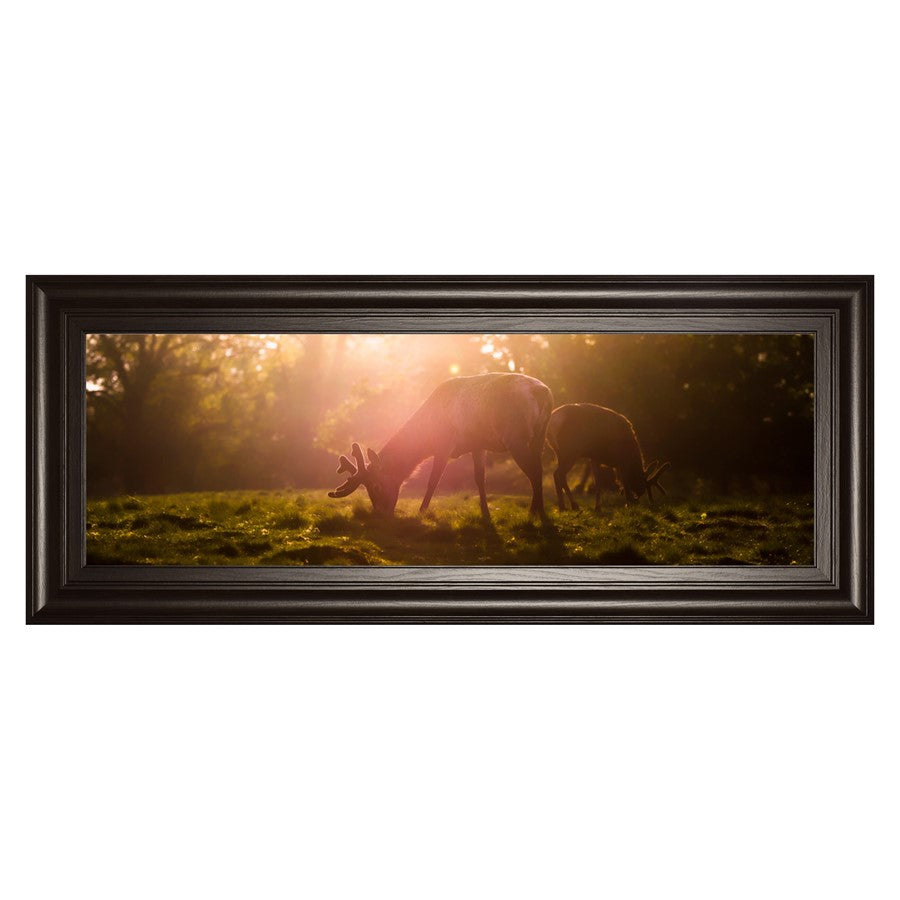 Classy Living Golden Grazing Wall Art 42"x18", Dark Chocolate Frame