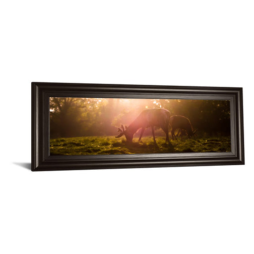 Classy Living Golden Grazing Wall Art 42"x18", Dark Chocolate Frame
