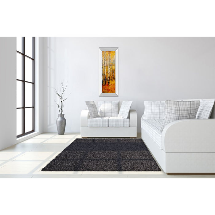 Classy Living Birch Glow Wall Art 18"x42", Mirrored Frame