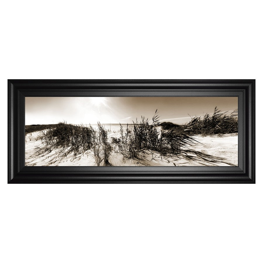 Classy Living Dune Breeze Wall Art 42"x18", Black Frame