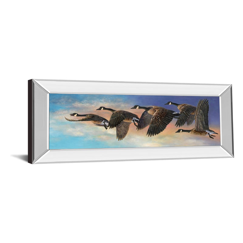 Classy Living Ethereal Flight Wall Art 42"x18", Mirrored Frame