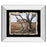 Classy Living Leopard Majesty Wall Art 26"x22", Mirrored Frame