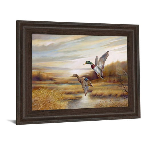 Classy Living Graceful Flight Wall Art 26"x22", Brown Frame