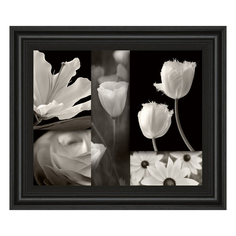 Classy Living Monochrome Blooms Wall Art 26"x22", Midnight Aura Frame