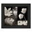 Classy Living Monochrome Blooms Wall Art 26"x22", Midnight Aura Frame