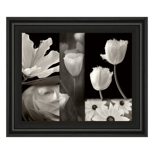 Classy Living Monochrome Blooms Wall Art 26"x22", Midnight Aura Frame
