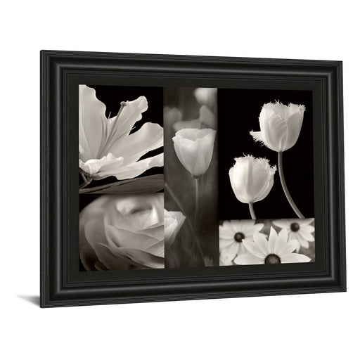 Classy Living Monochrome Blooms Wall Art 26"x22", Midnight Aura Frame