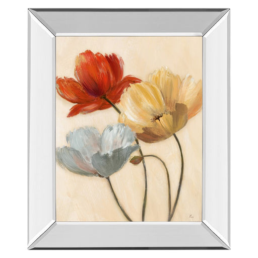 Classy Living Poppy Palette II Wall Art 22"x26", Mirrored Frame