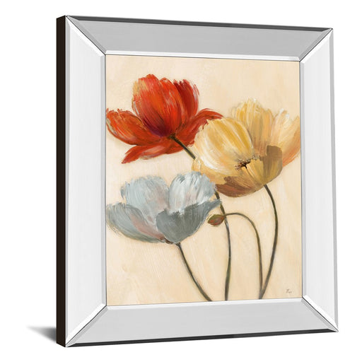 Classy Living Poppy Palette II Wall Art 22"x26", Mirrored Frame