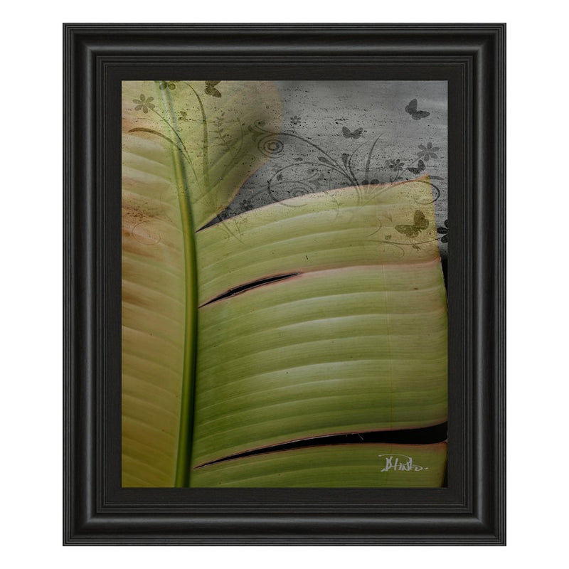 Classy Living Butterfly Palm II Wall Art 22"x26", Midnight Aura Frame
