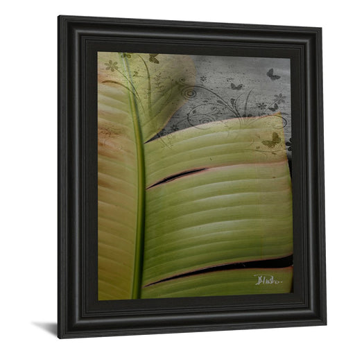 Classy Living Butterfly Palm II Wall Art 22"x26", Midnight Aura Frame