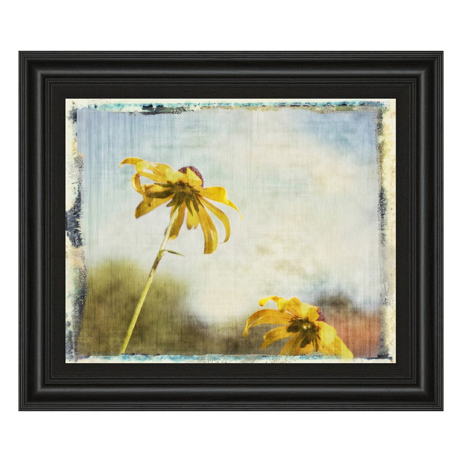 Classy Living Blackeyed Susan II Wall Art 26"x22", Midnight Aura Frame
