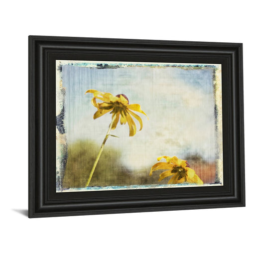 Classy Living Blackeyed Susan II Wall Art 26"x22", Midnight Aura Frame