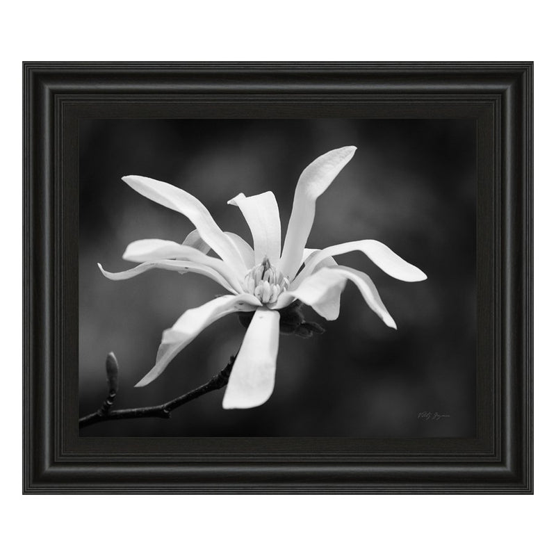 Classy Living Magnolia Grace Wall Art 26"x22", Midnight Aura Frame