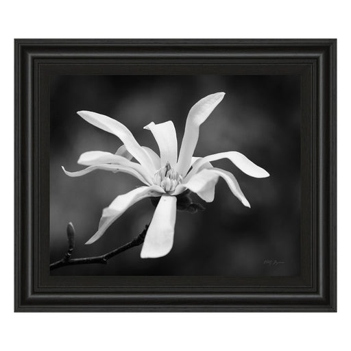 Classy Living Magnolia Grace Wall Art 26"x22", Midnight Aura Frame