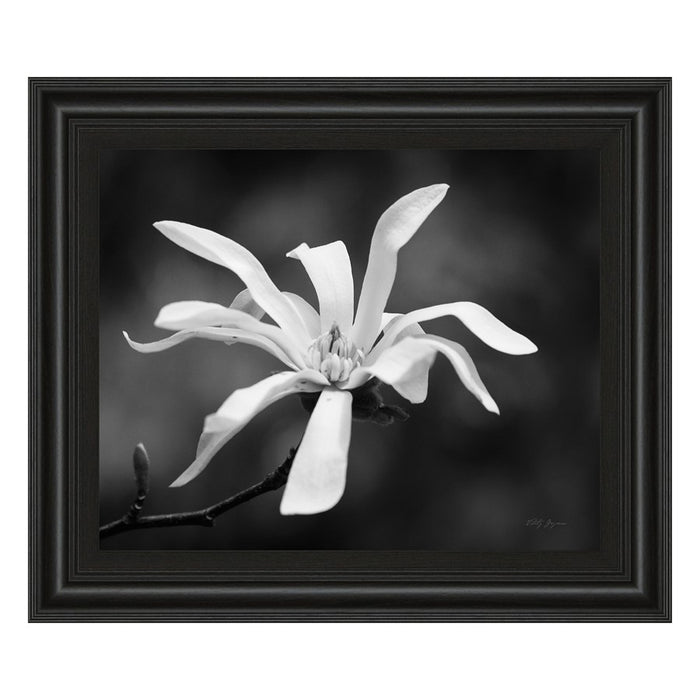 Classy Living Magnolia Grace Wall Art 26"x22", Midnight Aura Frame