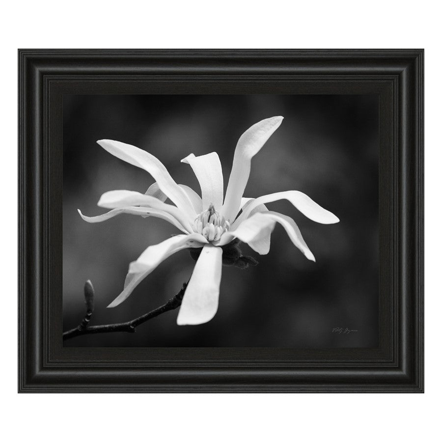 Classy Living Magnolia Grace Wall Art 26"x22", Midnight Aura Frame