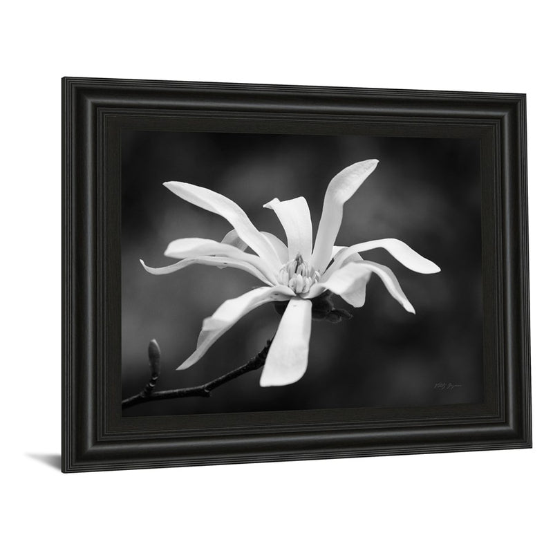 Classy Living Magnolia Grace Wall Art 26"x22", Midnight Aura Frame