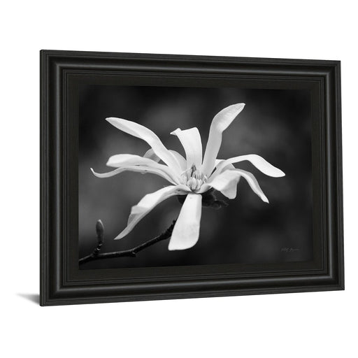 Classy Living Magnolia Grace Wall Art 26"x22", Midnight Aura Frame