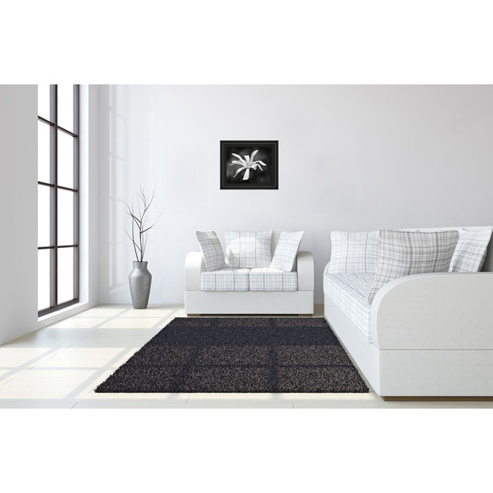 Classy Living Magnolia Grace Wall Art 26"x22", Midnight Aura Frame