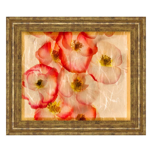 Classy Living Papaver Dreams III Wall Art 26"x22", GiIded Radiance Frame