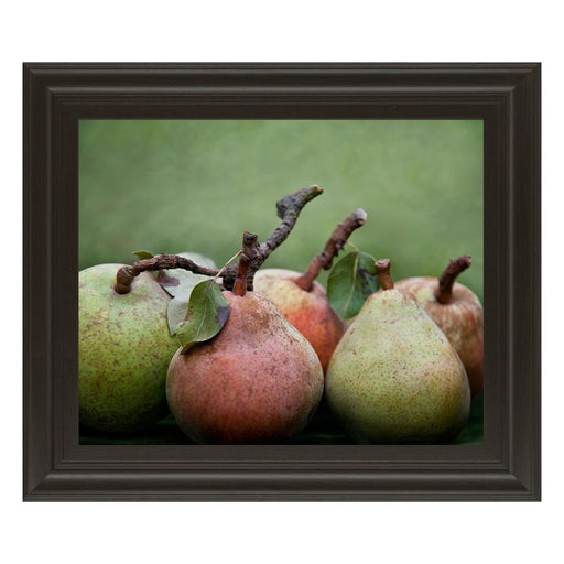 Classy Living Ripe Pears Harmony Wall Art 26"x22", Dark Chocolate Frame