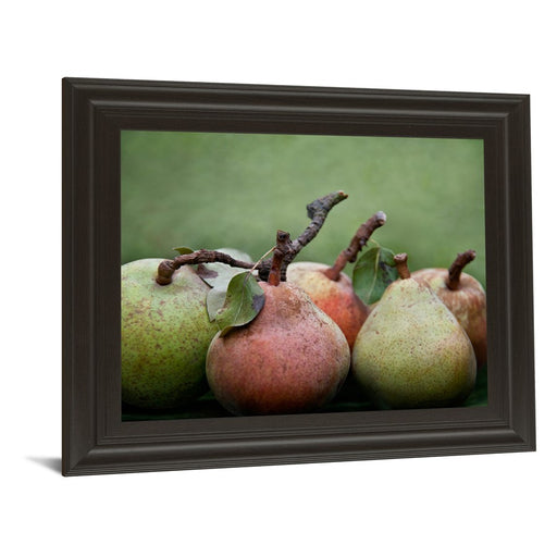 Classy Living Ripe Pears Harmony Wall Art 26"x22", Dark Chocolate Frame