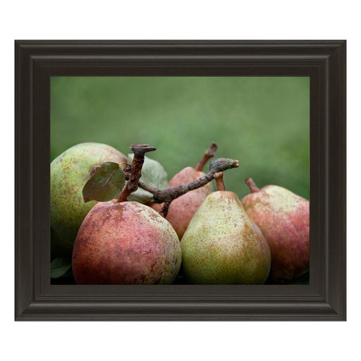 Classy Living Ripe Pears Still Life Wall Art 26"x22", Chocolate Frame