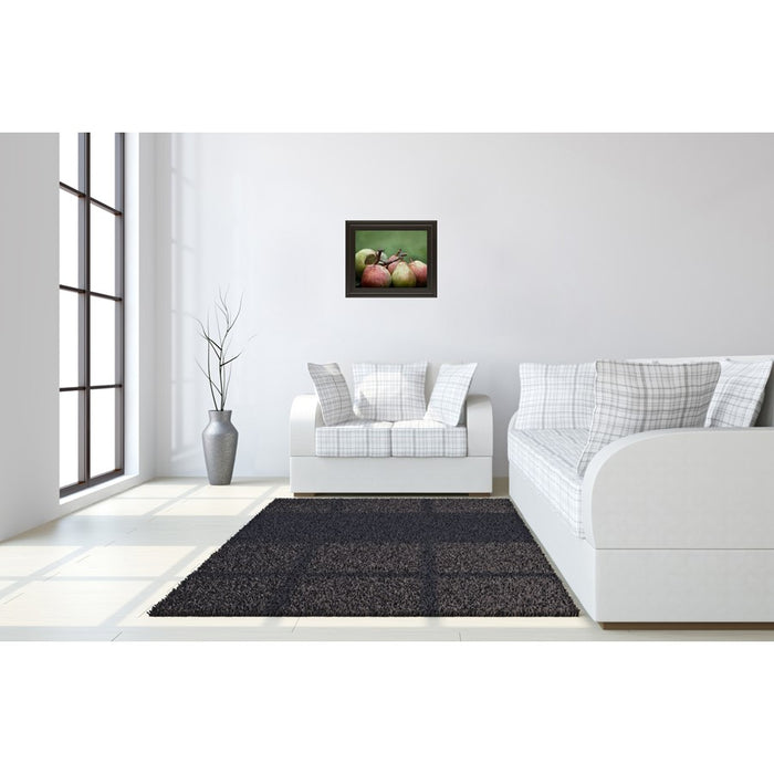 Classy Living Ripe Pears Still Life Wall Art 26"x22", Chocolate Frame