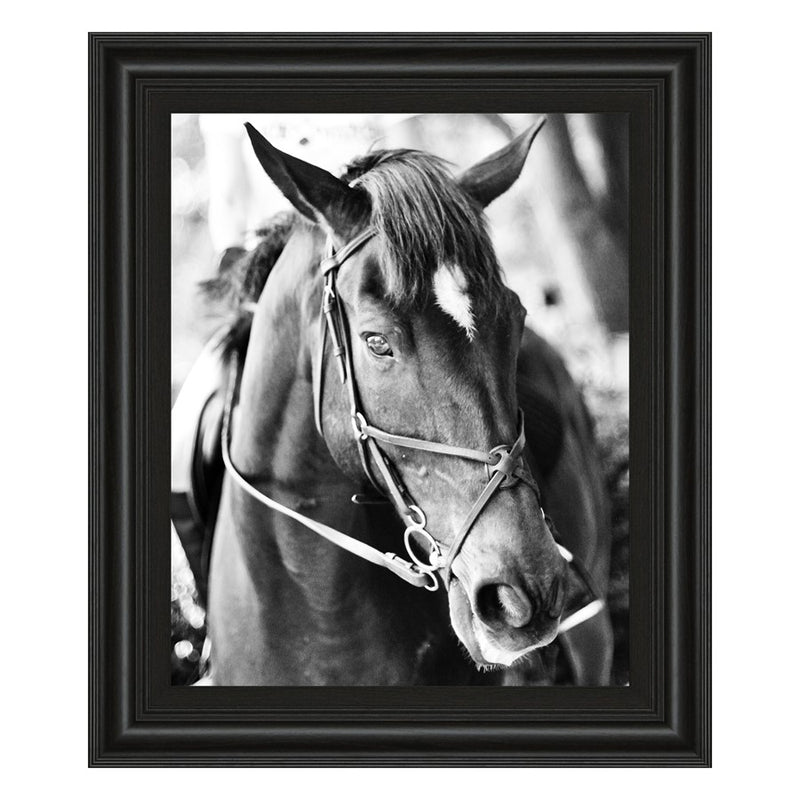 Classy Living Equestrian Grace Wall Art 22"x26", Midnight Aura Frame