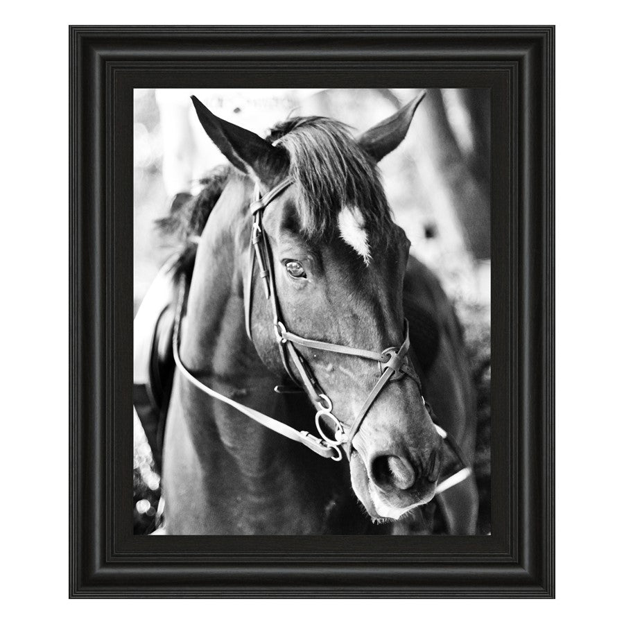 Classy Living Equestrian Grace Wall Art 22"x26", Midnight Aura Frame - 8019