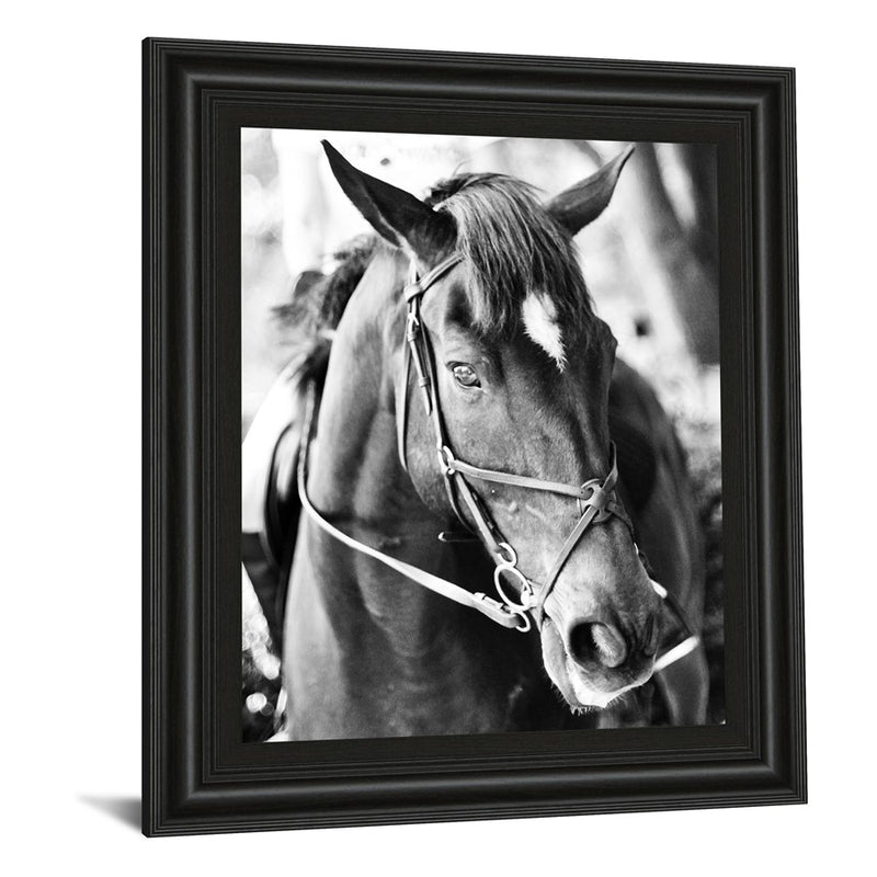 Classy Living Equestrian Grace Wall Art 22"x26", Midnight Aura Frame