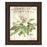 Classy Living Parisian Petals Wall Art 22"x26", Cinnamon Mocha Frame