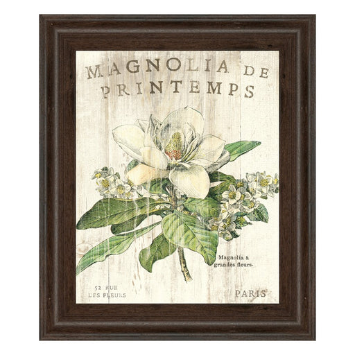 Classy Living Parisian Petals Wall Art 22"x26", Cinnamon Mocha Frame