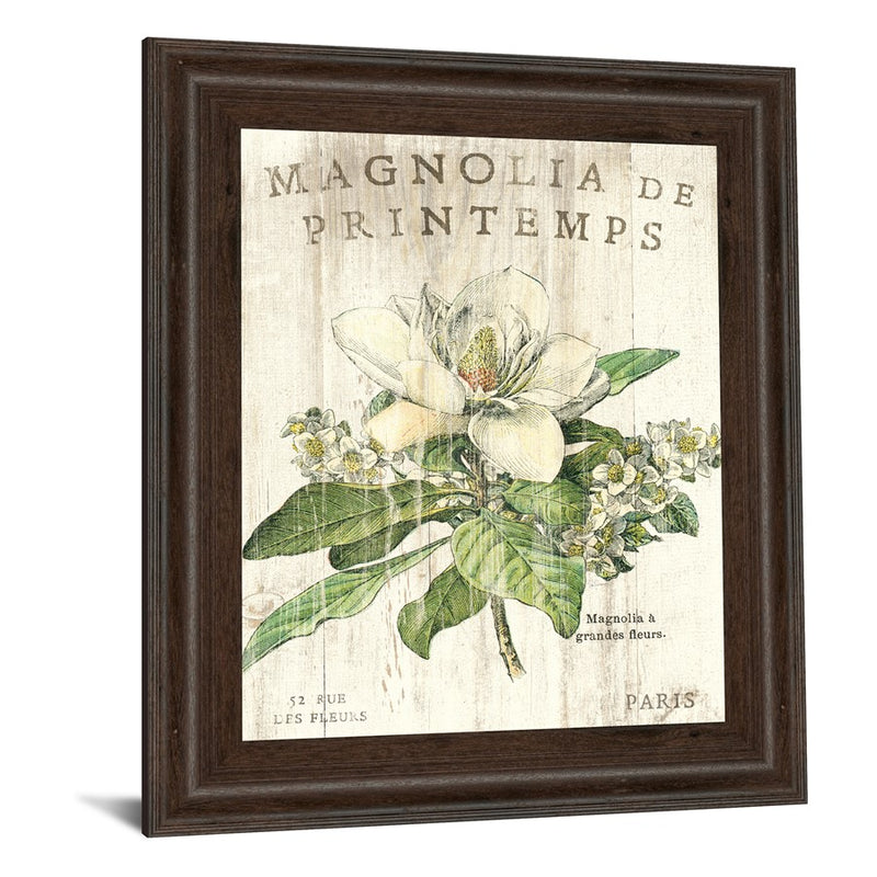 Classy Living Parisian Petals Wall Art 22"x26", Cinnamon Mocha Frame