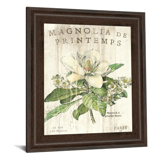 Classy Living Parisian Petals Wall Art 22"x26", Cinnamon Mocha Frame