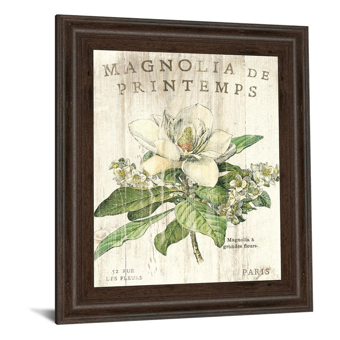 Classy Living Parisian Petals Wall Art 22"x26", Cinnamon Mocha Frame