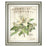 Classy Living Spring Magnolia Wall Art 22"x26", Silver Serenity Frame