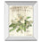 Classy Living Spring Magnolia Wall Art 22"x26", Mirrored Frame